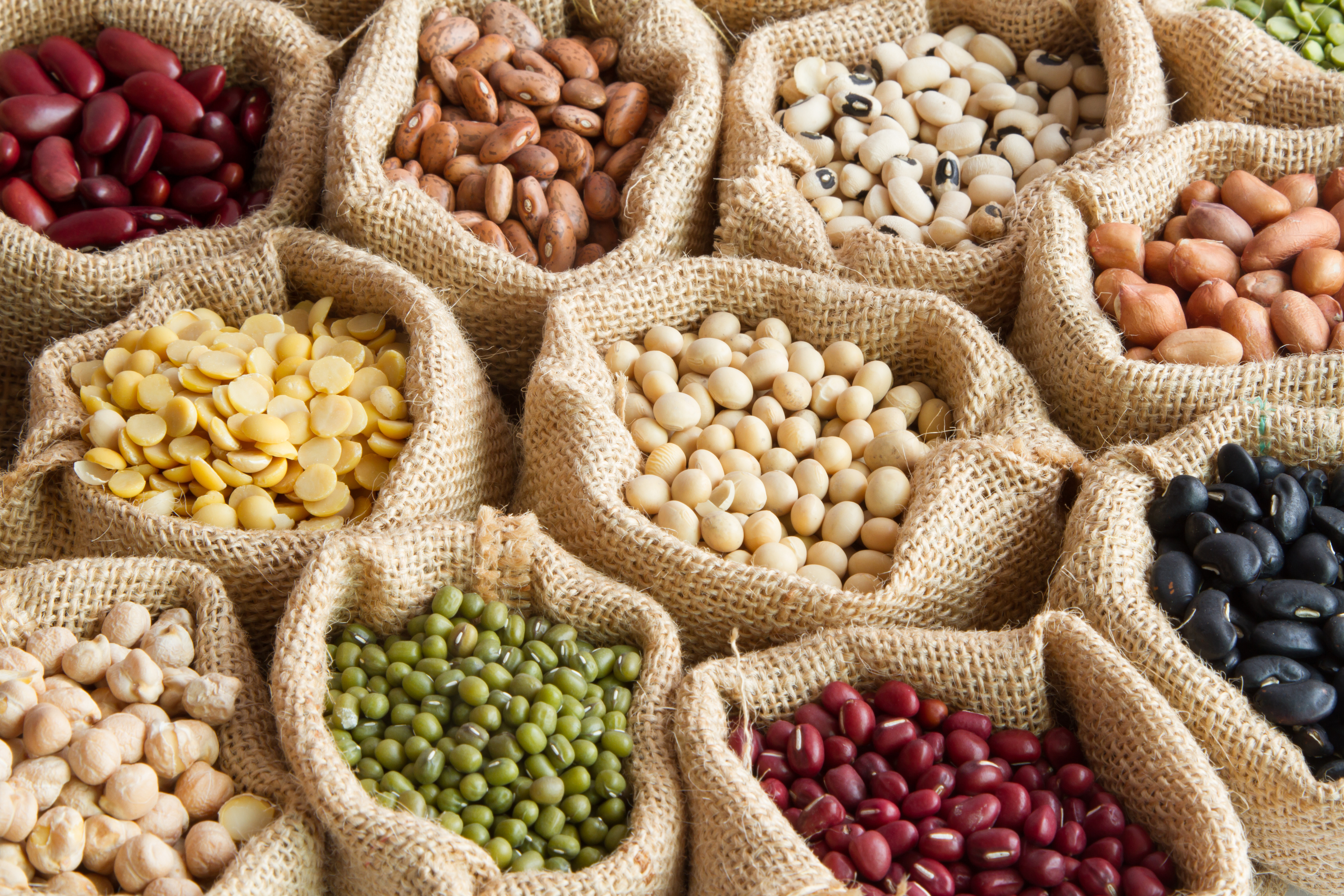 Multiple different kinds of beans in burlap sacks on display at a market.