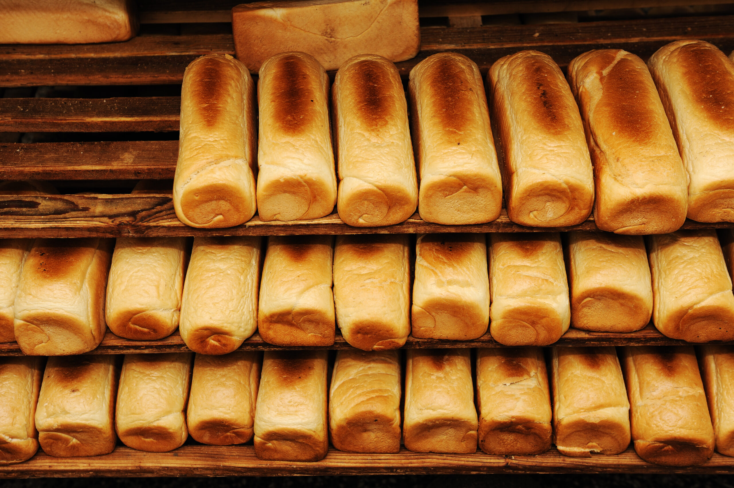several loaves of bread are lined up on a wooden shelf