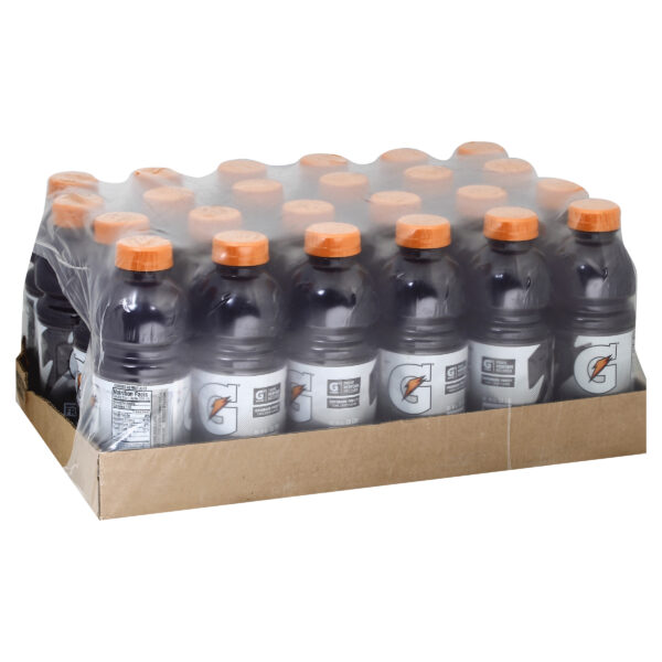 Gatorade Frost Thirst Quencher Riptide Rush 20 Fl Oz