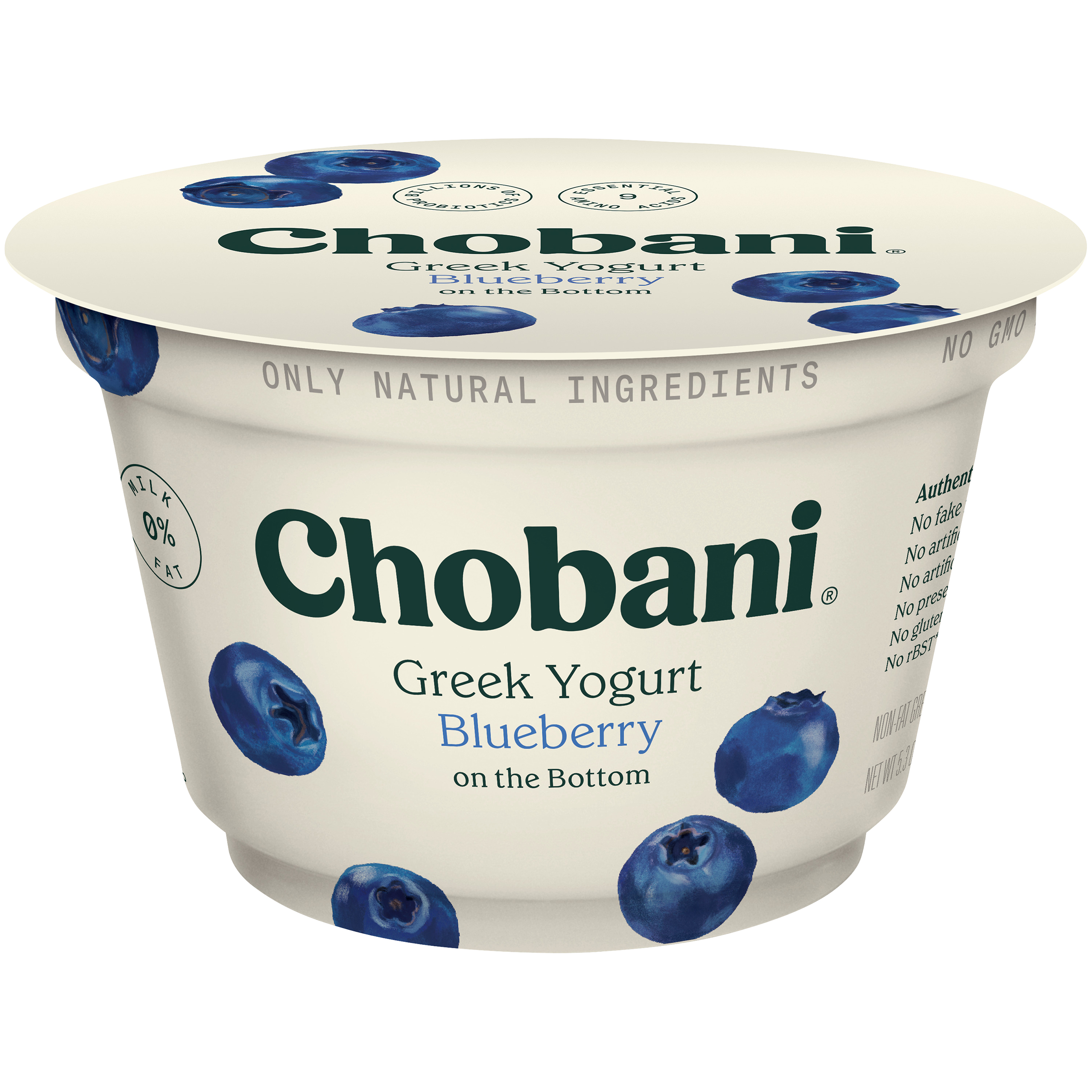 YOGURT, GREEK, BLUEBERRY, NONFAT, FRUIT ON THE BOTTOM - Feeser's