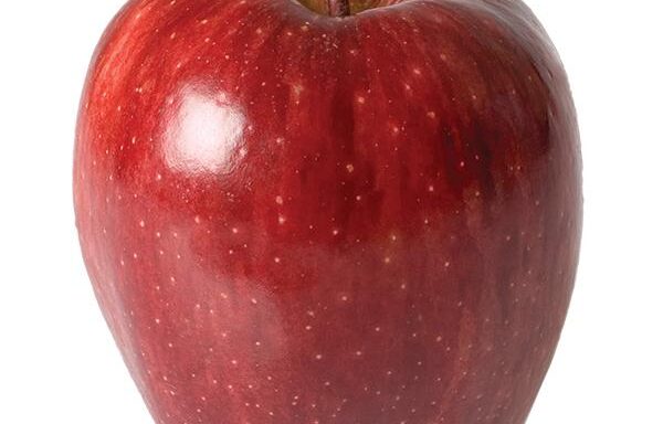 APPLE, RED, DEL, X-FANCY, 113-125CT