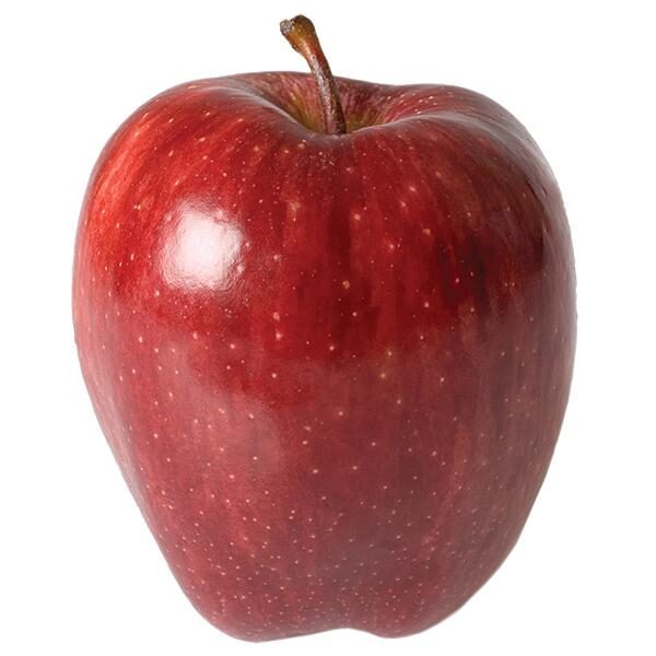 APPLE, RED, DEL, X-FANCY, 113-125CT