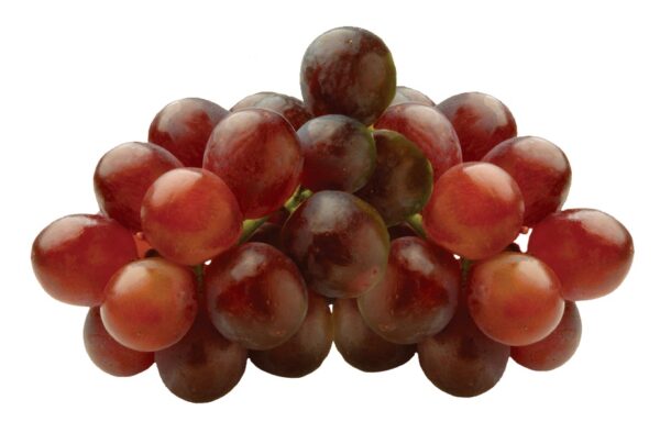 GRAPE, RED, SEEDLESS