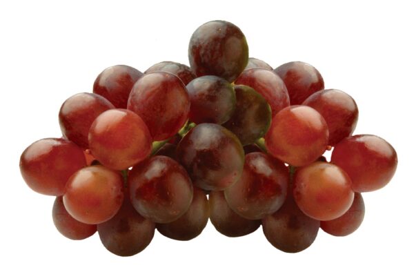 GRAPE, RED, SEEDLESS