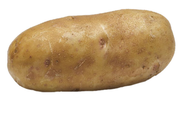 POTATO, BOX, RUSSET, IDAHO, 90 SIZE