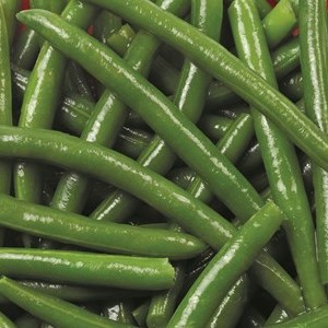 Whole Blue Lake Green Beans 12/2# – frozen